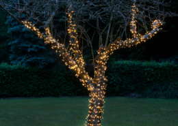 Amare LED Lichterkette