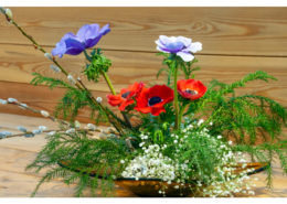 Ikebana ist eine japanische Kunstform, bei der natürliche Materialien und Blumen in einem Arrangement kombiniert werden. Die Zweige, Blätter oder Blütenblätter werden miteinander kombiniert, um das perfekte Gleichgewicht von Farbe, Form und Textur für jeden Raum zu Hause zu schaffen.