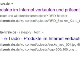 Domainverkauf firewallzantrale